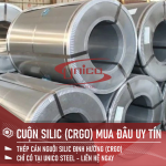 THÉP CUỘC SILIC ĐỊNH HƯỚNG MUA Ở ĐÂU UY TÍN ?