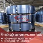 THÉP ĐÀN HỒI SUP9 / 55CrMnA / 5155 / 55Cr3